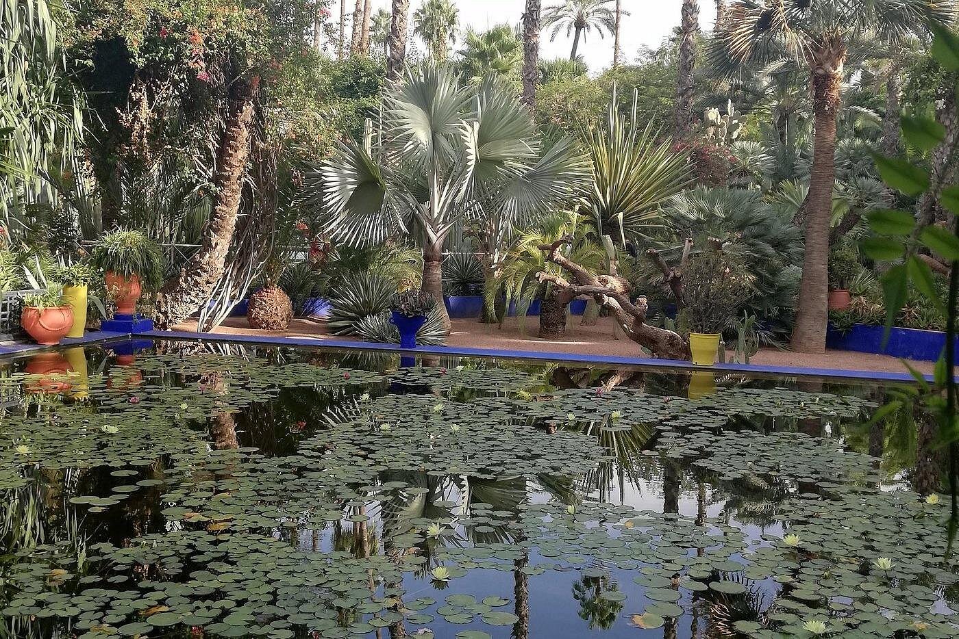 majorelle1